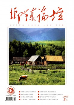 乡镇论坛杂志